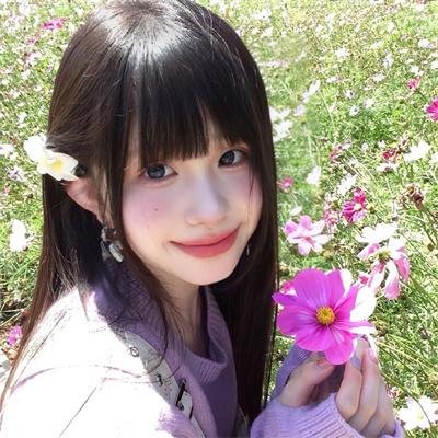 大象与小蝶物语